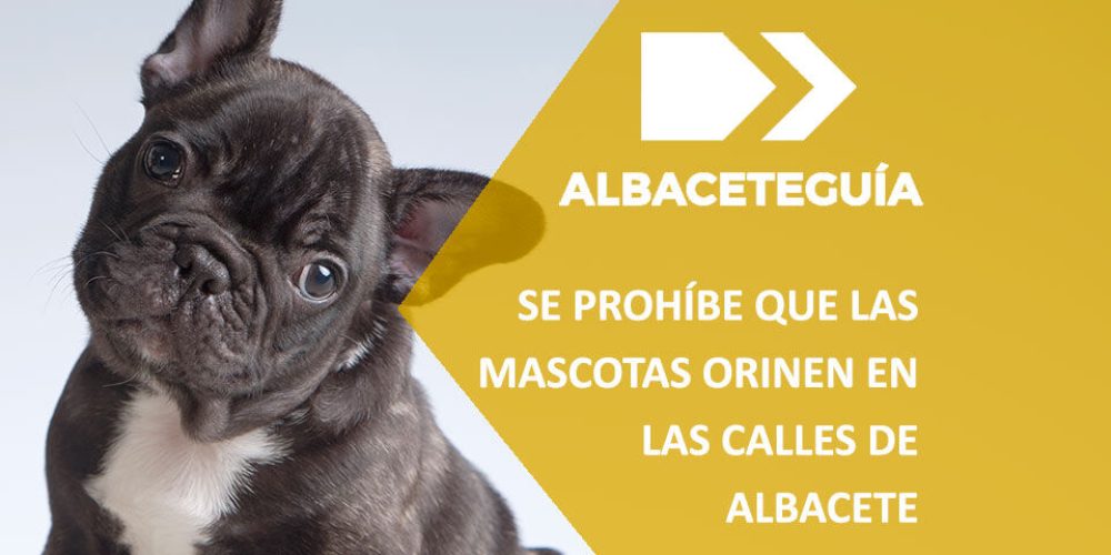 En unos días será obligatorio diluir con agua y vinagre el orín de las mascotas